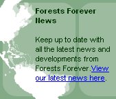 Forests Forever News