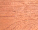 European Cherry