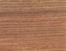 Elm