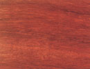Padauk