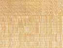 Sycamore